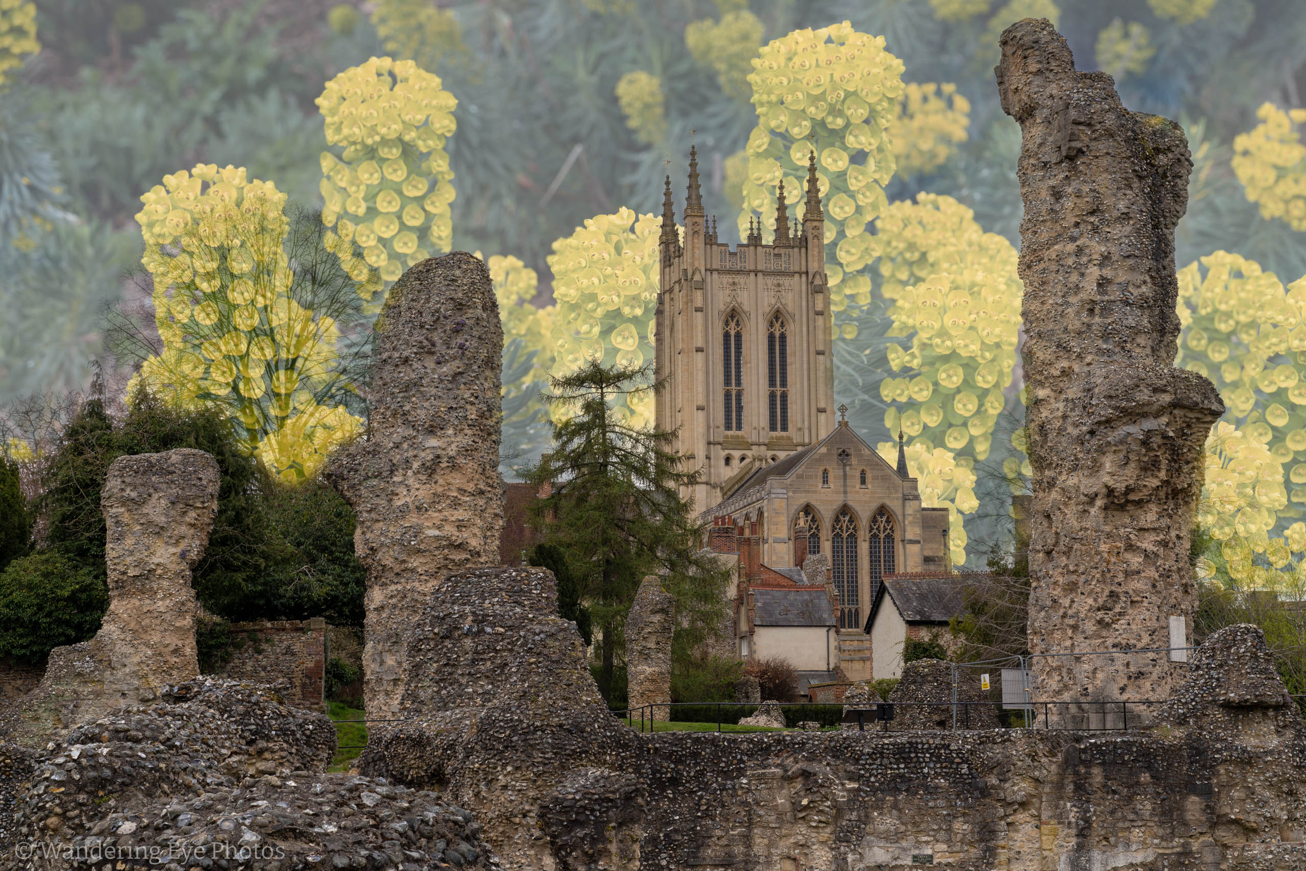 04.09 11.35.05   DSC05735 Edit